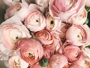 Kalbiname floristę tema – Bijūninės rožės
